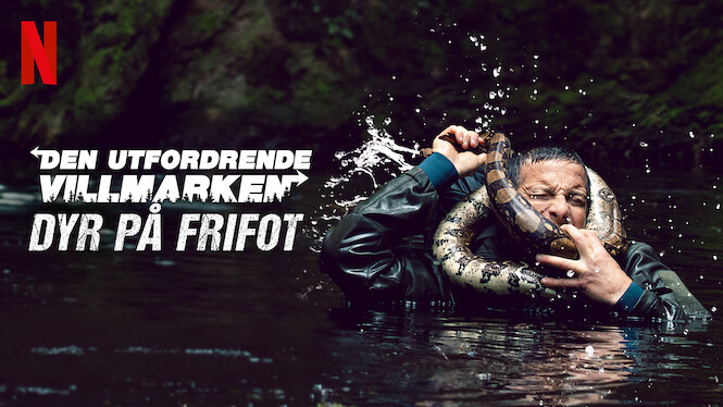 Den utfordrende villmarken: Dyr på frifot